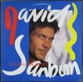 David Sanborn デイヴィッド・サンボーン / As We Speak